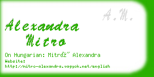 alexandra mitro business card